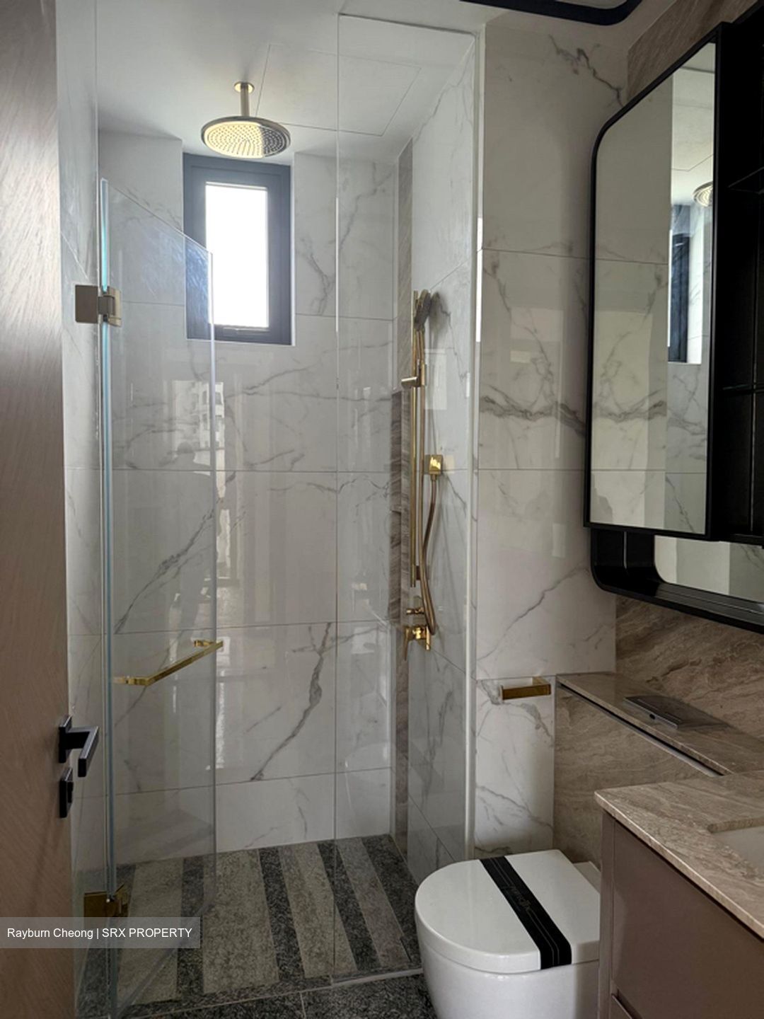 Perfect Ten (D10), Apartment #542221881